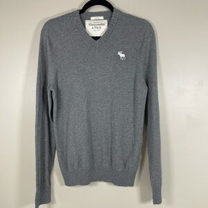 ABERCROMBIE & FITCH Mens Y2K‎ Gray LG Muscle Fit Cashmere Blend V Neck Sweater